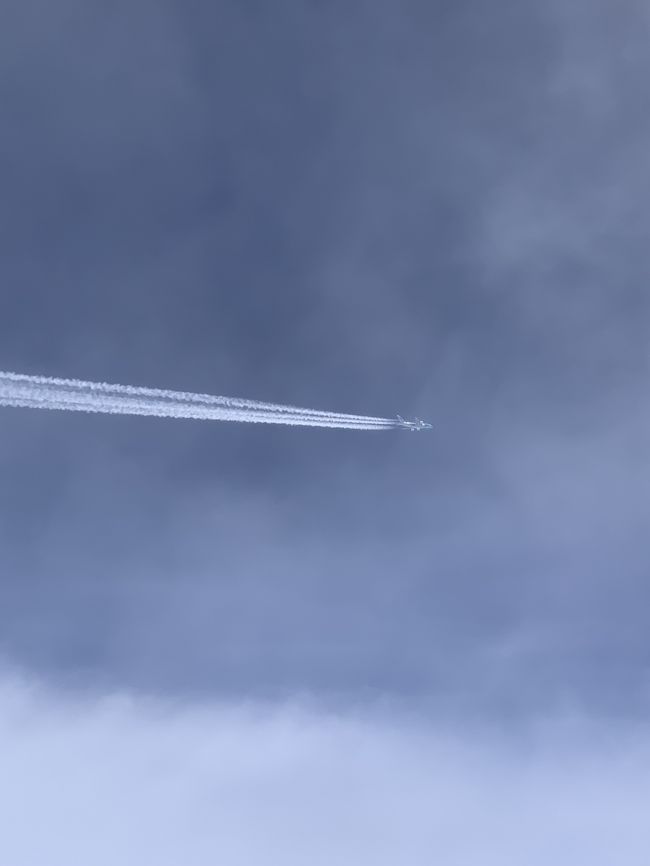 その後ウトウトしているとき、少しざわついてきたので目を開けると、すかさずＣＡさんが来て、ＡＮＡのＡ３８０が横に飛んでいると知らせてくれたました。起きているお客様に紹介してますとの事。早速シェードを開けると斜め上空に飛んでいるのが見えます。すぐに写真取りましたが小さすぎて画像ではフライングホヌかどうかわかりません。拡大するとかろうじてわかるぐらいでした。<br />しかし、ライバル？会社の飛行機をわざわざ教えてくれるとは、さすがＪＡＬと思いました。