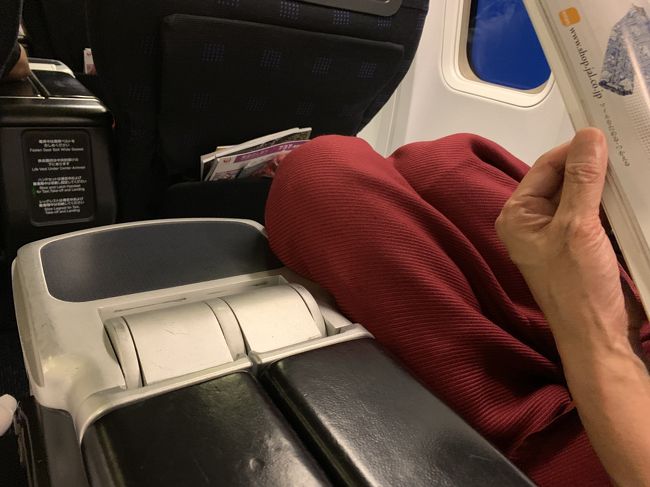 エコノミーからクラスＪへアップグレードを進められたので、即ＯＫしました。<br />たまたま、２席空きがあったようです。<br />料金は１０００円と思ったら９６０円でした。