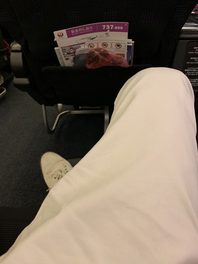 成田千歳間は小さな飛行機でした。<br />Ｂ７３７－８００で国際線の機材だそうです。