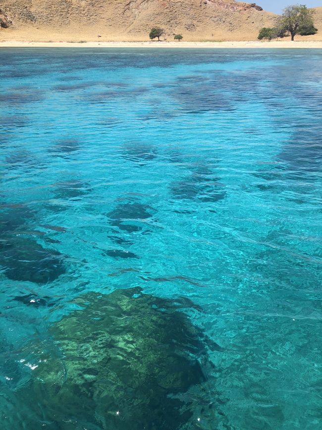 講習2日目の一本目はサーチアンドリカバリー。