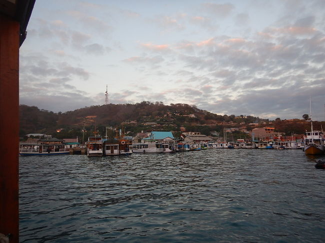 ボートに揺られながらの心地よい眠りから目覚めると港が見えてきた。この後ショップにてログ付けして無事アドバンスライセンスを取得できた。<br />経験豊富でフレンドリーなインストラクターやスタッフに感謝。<br />ダイバーズパラダイスコモドは日本人にとって非常におすすめできるショップだと思う。<br />ラブハンバジョは近海で採れたフレッシュな魚が食べられるフィッシュマーケットや、マッサージ、お洒落なレストラン等もありアフターダイブもバッチリだった。