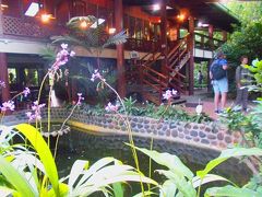 Selva Verde Lodge