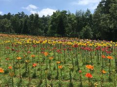 真夏の那須塩原バスの旅 ハンターマウンテンゆりパーク 竜化の滝 道の駅 明治の森 お菓子の城 那須 栃木県 の旅行記 ブログ By Fuhchibahさん フォートラベル