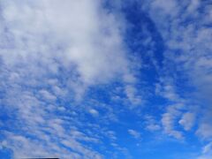 おはようございます。渡嘉敷島でむかえた５日目です。天気は回復してきました。曇り時々晴れ、という感じでしょうか。