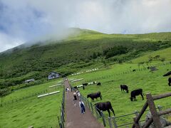 展望台から八丈富士山頂を望みます。
さっきまで晴れていたのに山頂付近には雲が…