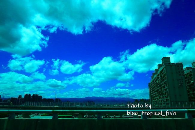 台湾の空。青い。