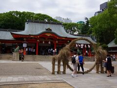 三宮で下車して生田神社。
萱の輪くぐりがありました。