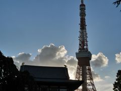 増上寺と東京タワーの２ショットを撮ろうと思ったのですが、夕方なので逆光になってしまいました。