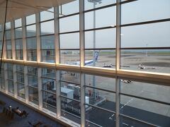定刻で八丈島空港を離陸し、15分程早く羽田空港に到着しました。
行きと同じくサテライトターミナルで降機し、バスでメインターミナルへ向かいます。