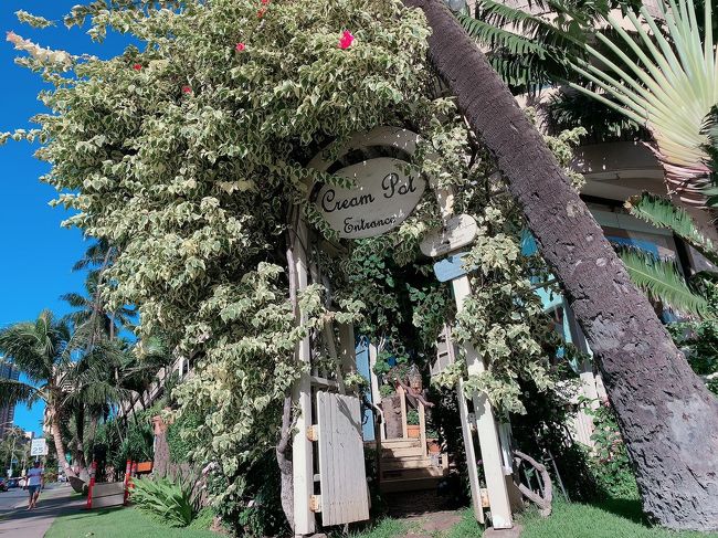 可愛い入り口！クリームポットに到着です！