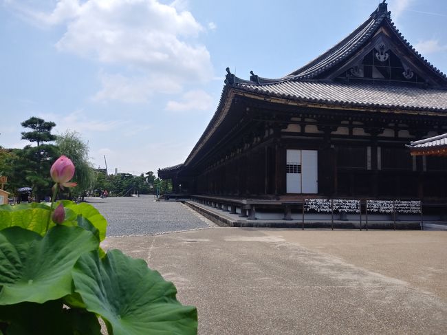夏の３ババ そうだ 京都いこっ その１ 京都の旅行記 ブログ By ふゆぅさん フォートラベル