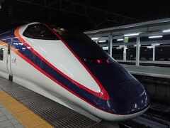 山形駅に到着。乗ってきた新幹線をパチリ。