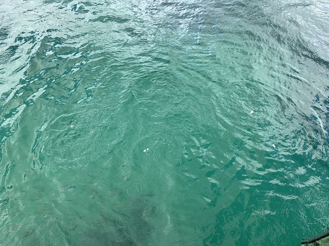 サンドバーに行く前に、シーウォーカーをします。<br />ボートで浮島？に行きます。<br />一見すると、魚がいませんが・・・