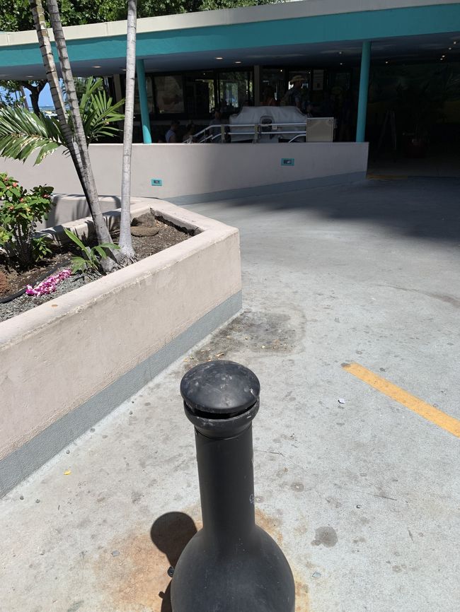 隣のサークルホテルの喫煙場所からエッグスンシングスです。