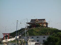 蕪島神社は工事中で上には行けませんでした。
かもめが沢山飛んでいました。