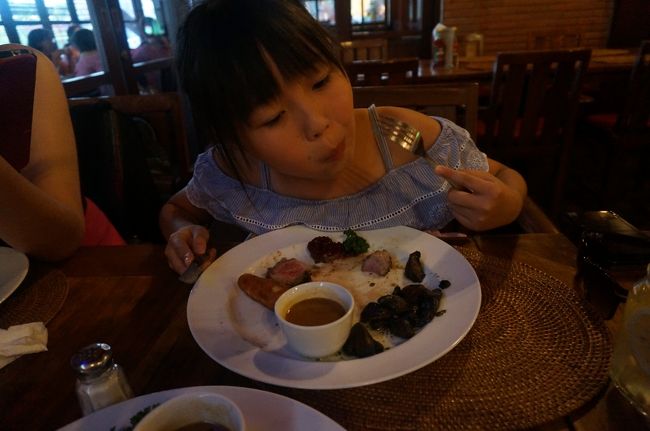 お肉が非常に柔らかくて、ソースの味も子供たちの好みにあったようで。<br />本当によく食べました。