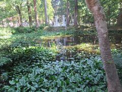 出羽三山神社の鏡池