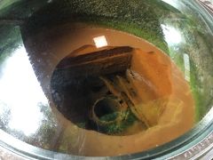 ドームの中は第二号源泉噴出口

今日は宿があるので、ここでは温泉に入らず折り返し