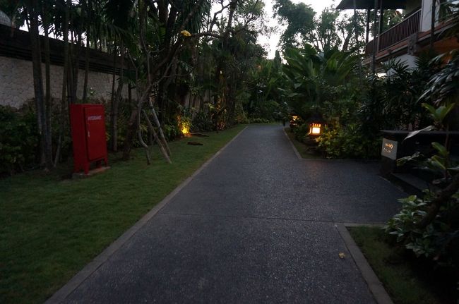 あちこち、ライトアップされてます。