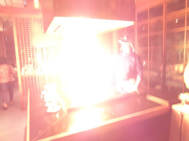 ファイヤー！！<br /><br />何回もやってくれますよ！！<br />