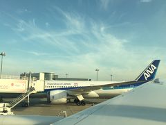 今回は珍しく飛行機で伊丹へ。
ANAの旅作で2泊3日で3万2500円というお得さだったので。
食い道楽の旅、始まり、はじまり～。