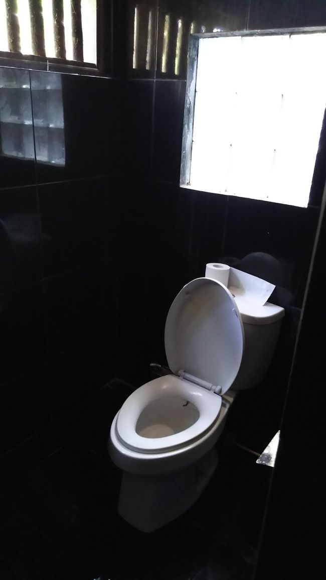 水の流れは悪くないですが、<br />一応ペーパーはゴミ箱に捨てました。