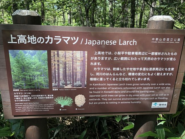19 8 信州 上高地 大正池 河童橋 ものぐさ太郎でランチ 上高地 長野県 の旅行記 ブログ By 腹ヴェリ子さん フォートラベル