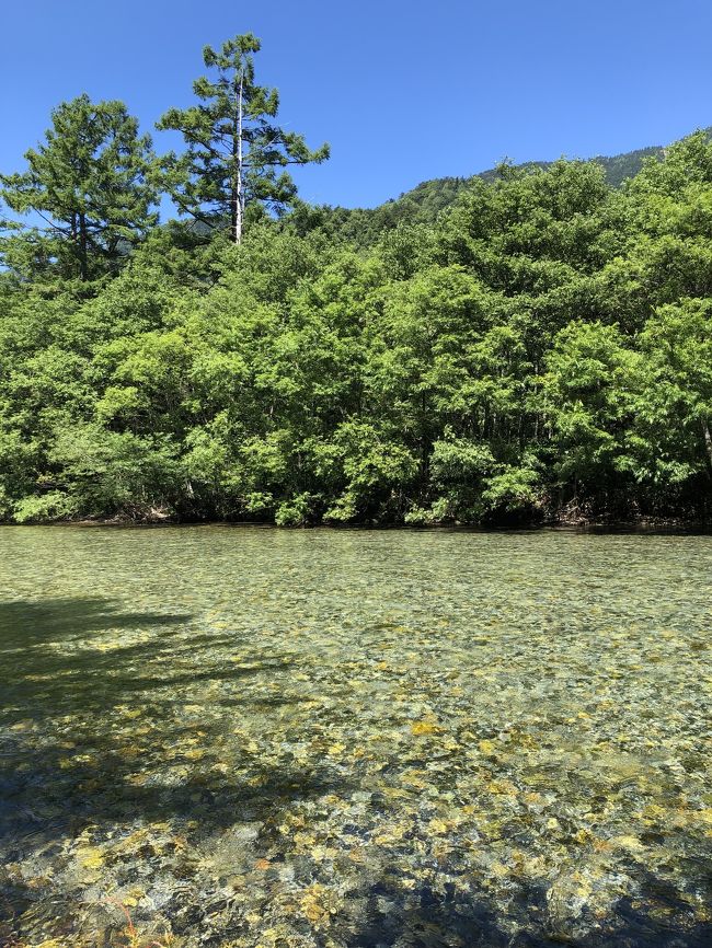 19 8 信州 上高地 大正池 河童橋 ものぐさ太郎でランチ 上高地 長野県 の旅行記 ブログ By 腹ヴェリ子さん フォートラベル