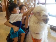 同、天保山マーケットプレイスにあるアニパにいって帰ることに。
アルパカやたくさんの動物に出会えます。