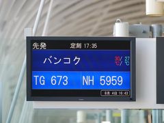 飛行機での移動