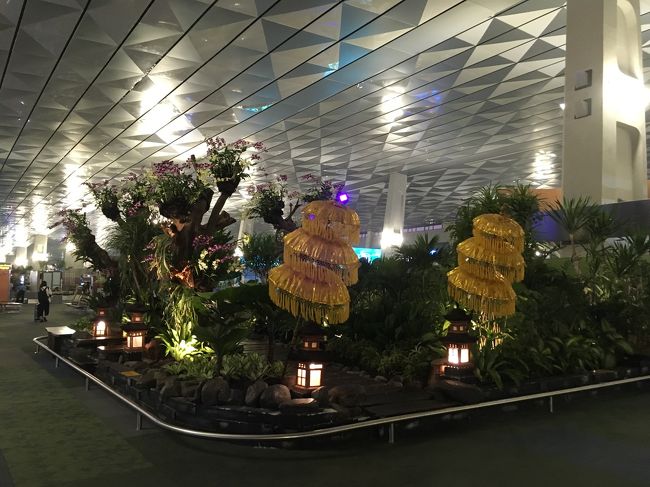 羽田の出発が遅れたから、ジャカルタ着も遅れると期待したら、定刻通り。そして入国も羽田朝便と違い、がらがら。。。さらに入国もガラガラ。