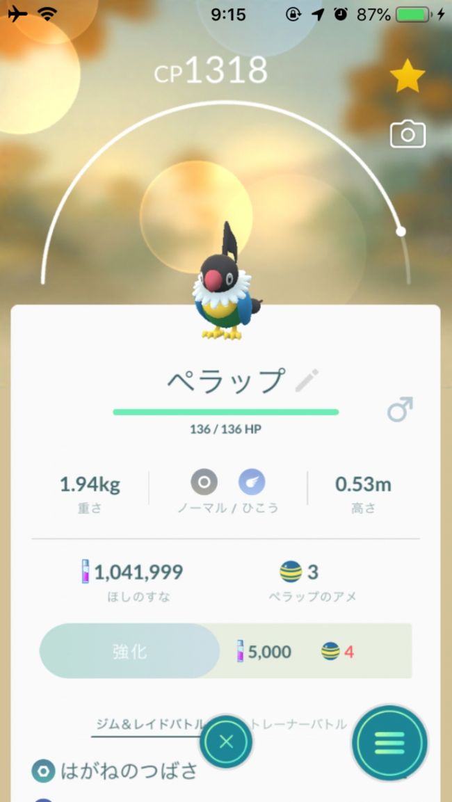 インドネシアでやることの1つ、南半球限定のポケモンゲット。ラウンジをウロウロし、1匹ゲット。この後もポケモンイベント始まる前までは毎日2、3匹捕獲