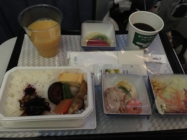 機内に入ったら、爆睡。今年はこの機内食率高いなあ。。。シャケのほうがいいのに。。。
