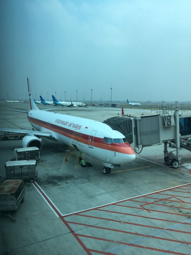 寒いラウンジに耐えること4時間。やっとラウンジから出れる～。搭乗口は1番端っこ。でも隣にガルーダの昔の機材の復刻塗装機があり、萌～。日本でもやるといいのになあ