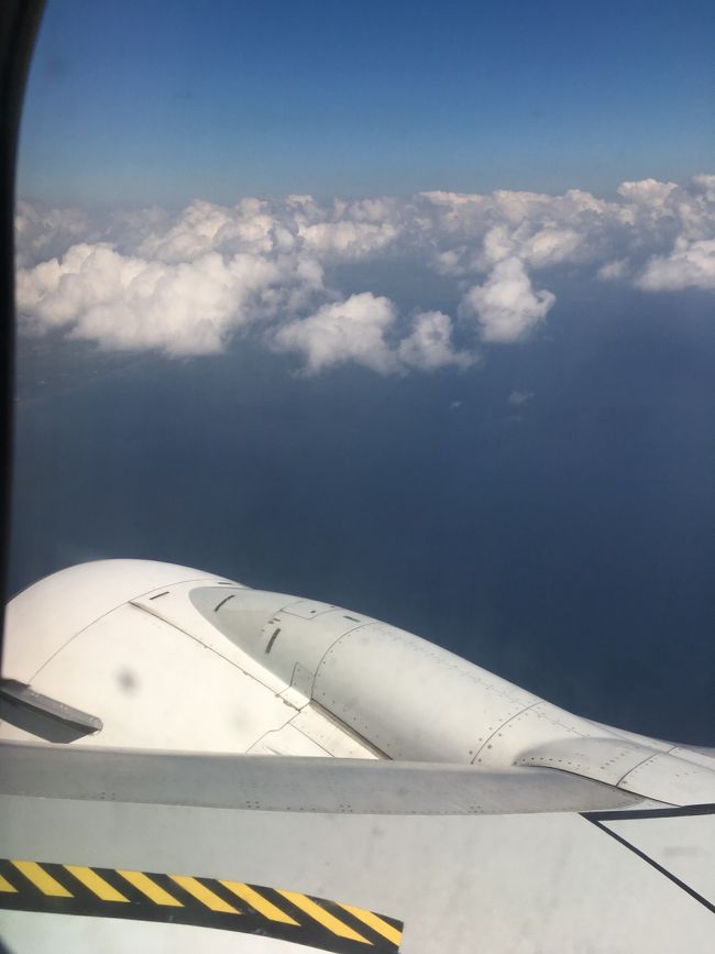 お空の上ではダンボを見る。ダンボの話、初めて知った。