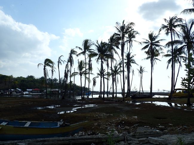 そして港到着。家族は唖然。