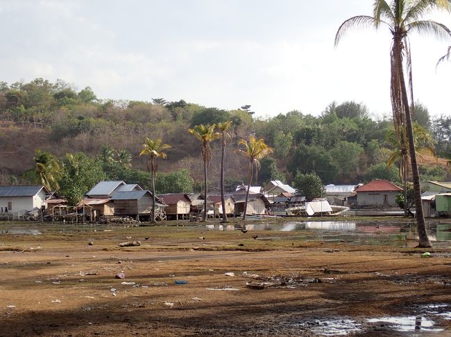 液状化？でえらいこっちゃに。