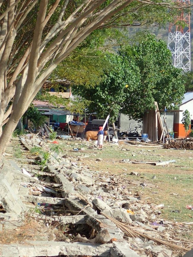 復興は進んでなさそう