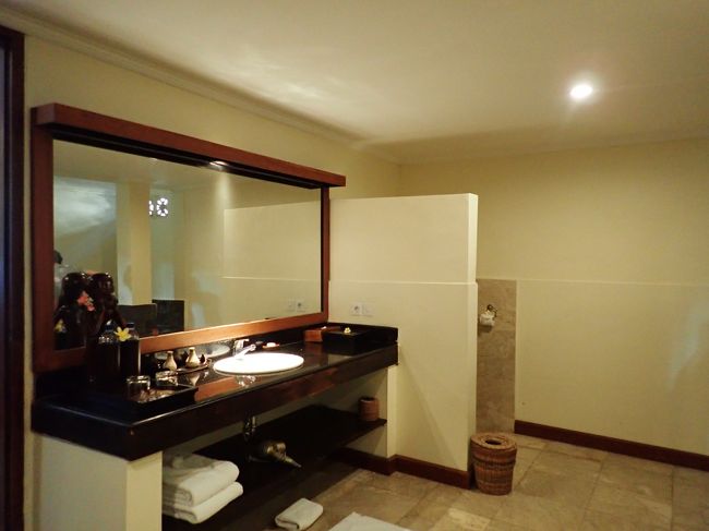 シャワー、洗面所がやたらと広いので、ここがスーツケースを広げる場に。その結果。トイレに入ってても誰かが入ってくる(笑)