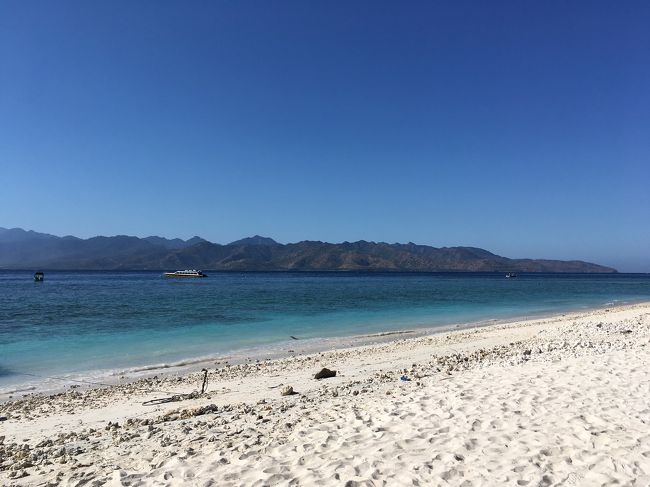 翌朝、ピーカン。地震の翌日もこんなだったなあ。。。