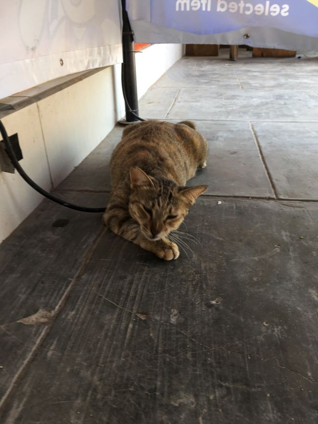 朝ごはんが終わったら、水着に着替えて、ビーチに。