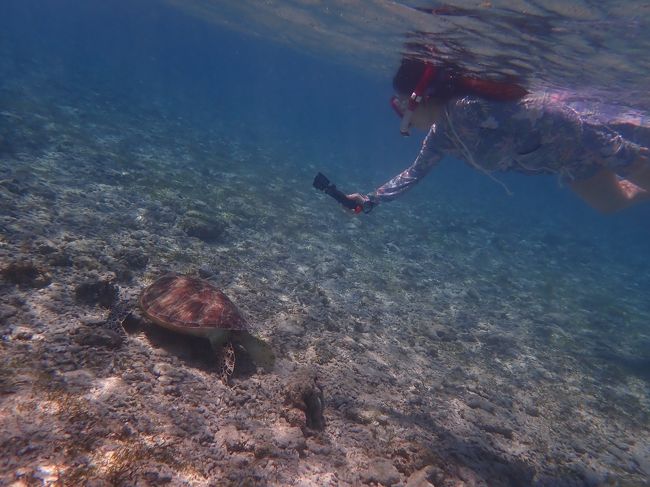 今回妹様が投入した新兵器GO　PRO。このGO PROの持ち手が後々トラブルメーカーに。。。