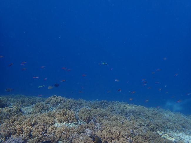 2本目はドロップオフに。でも大物なく。。。