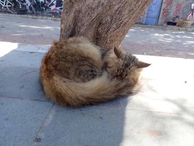 そろそろ帰りましょ