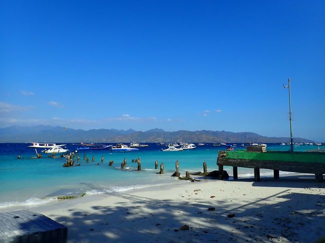 帰り、メインの桟橋を見てびっくり。地震で橋なくなってるＷＷＷだからみんな泊まってたホテルに押し寄せたのかあ。。。