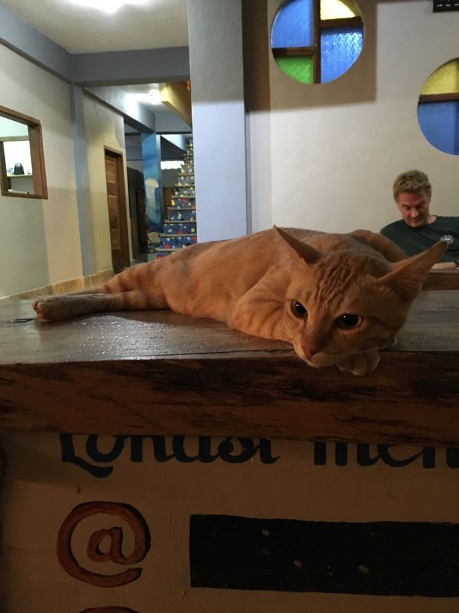 ホテルでシャワー浴びたらいつものお食事処に移動