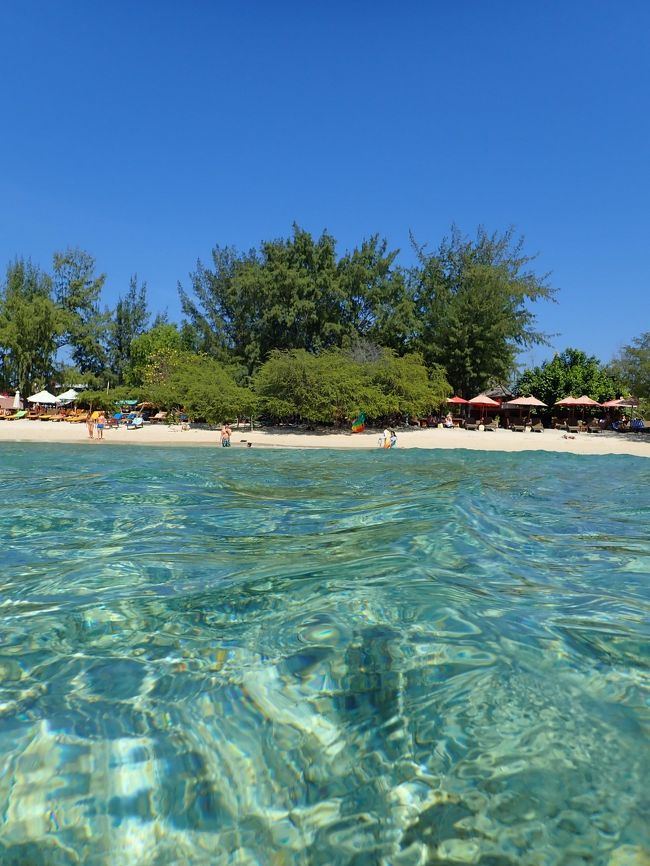 さ、海に入りましょ～