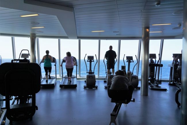 バイクを漕ぎながらランニングマシンが空くのを待ちます。<br />歩いていると海の上を歩いているかのような、自分が船を動かしているかのような錯覚に陥るナイスビュー！<br />ロイヤルカリビアンのジム、おススメです。<br />マシンは多言語対応もしているので日本語表示にもできるし、単位も選べるので操作も簡単です。