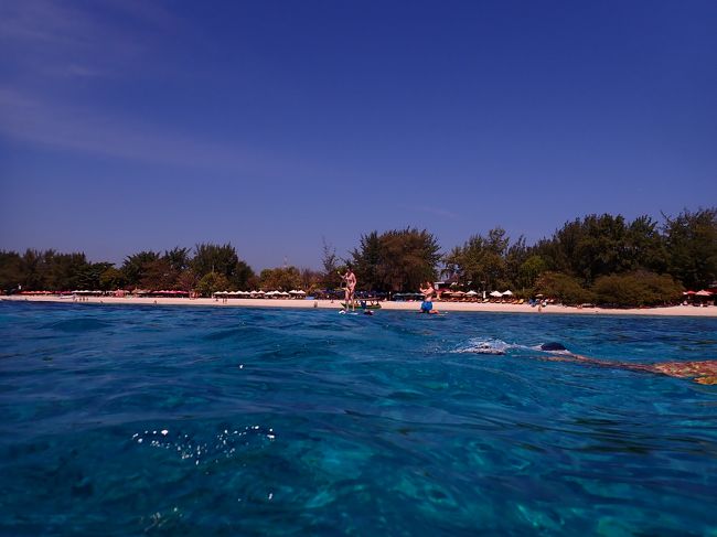 一緒に上がる。綺麗な海だ(笑)妹様を捕獲し、カメのお世話をさせる