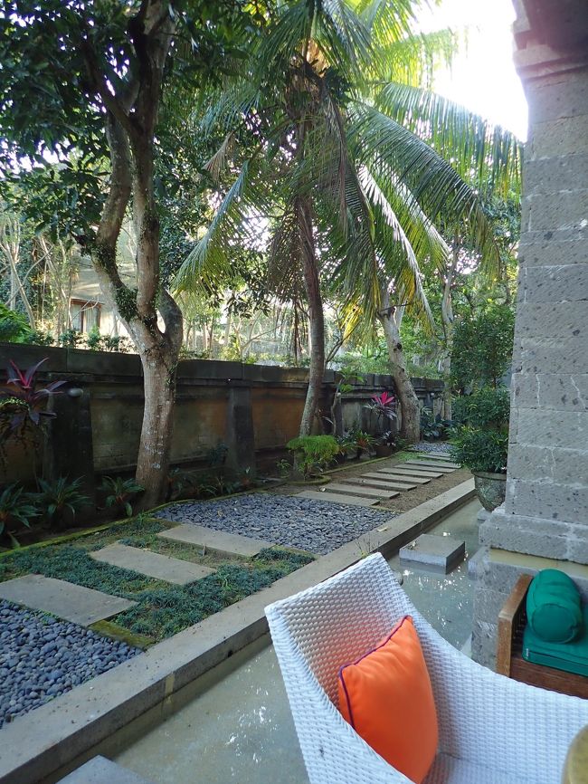 お庭はこんな。